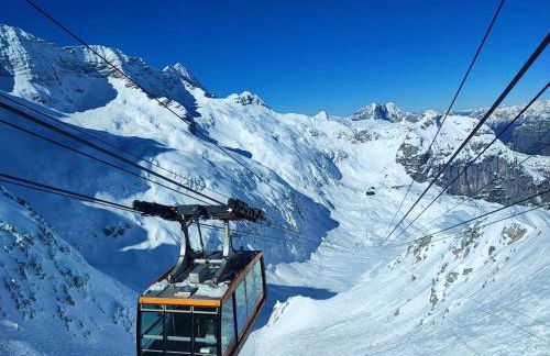 Alpine Luck Apartment, Sella Nevea - Foto 24