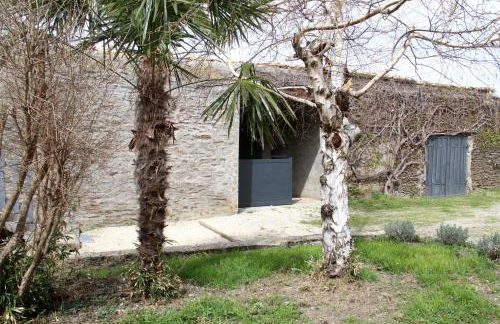 La Micale - Terrasse - Jardin - Au calme - Foto 12