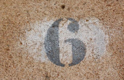 La Grulla Gris - Foto 43