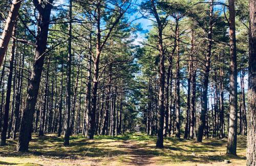 Piękny domek z dużym ogrodem - Foto 35