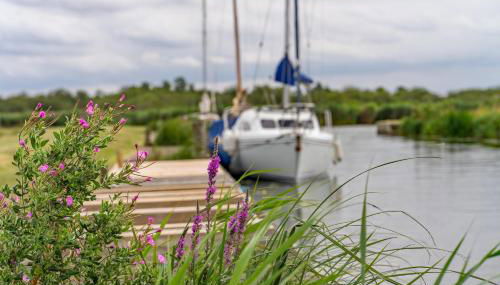 Dog Friendly Chalet At Broadland Park And Marina In Lowestoft Ref 12027B - Foto 5