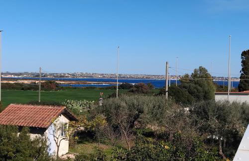 Il Campo Blu - Foto 50