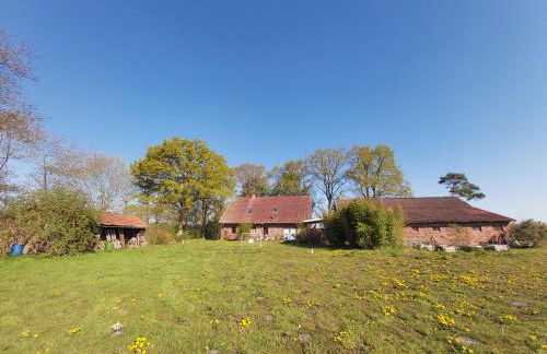 Landhaus SiebenEichen - Foto 34