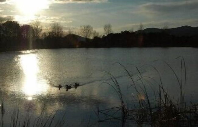 Bulichella - Foto 48