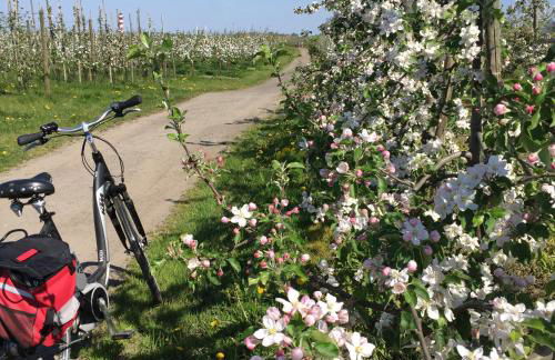 Fewo Lüheblick im Haus Lühegarten - Photo 26
