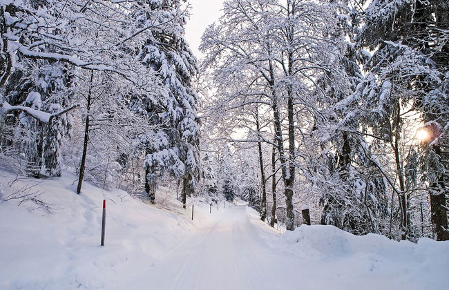 Chalet de la Vue des Alpes - Foto 31