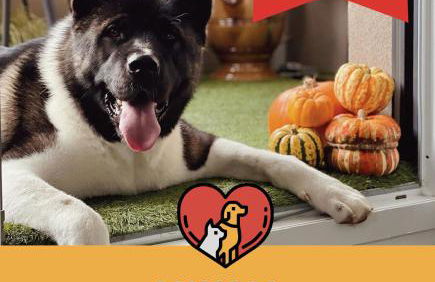 Serenity LAMAISON 1 - Foto 15