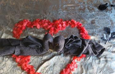 L'incognito - Romantisme - Vin - Jacuzzi - Photo 11