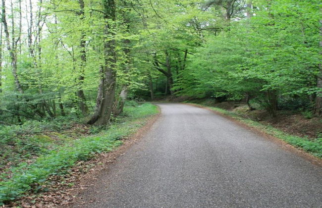 Chalet in Netherlands With Private Garden - Foto 29