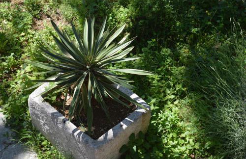 Villa Nidus Onei - Foto 26