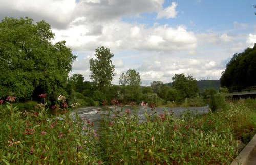 Ferienhaus Chalet Cottage Ourtalblick 2km von Vianden-Lux - Foto 24