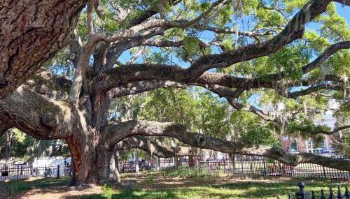 NEW! Canopy Cove, Luxury Downtown Apartment Near Main St - Foto 3