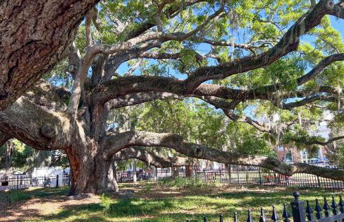 NEW! Canopy Cove, Luxury Downtown Apartment Near Main St - Foto 3