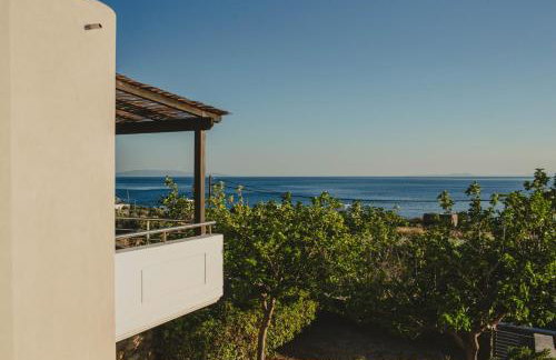 Theros Blue - Foto 4