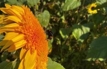 Oyster Cottage - Foto 6