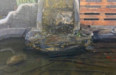 Villa Jaira - Photo 17