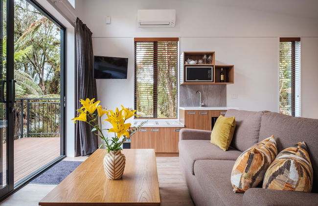 Rainforest Deluxe - Photo 20