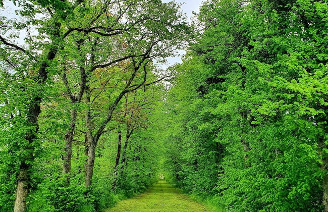 Superb Holiday Home With Garden in Serinchamps - Foto 31