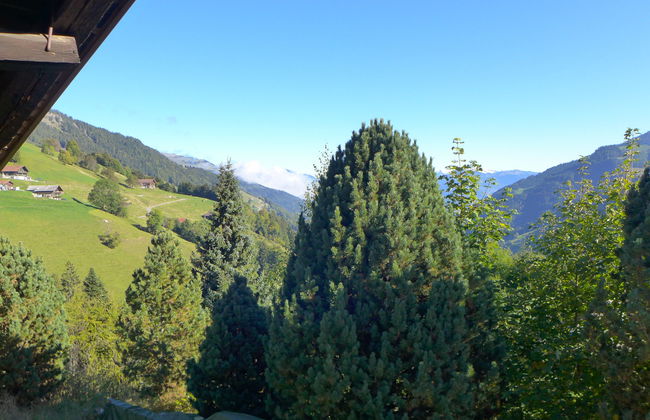 Chalet Anthamatten - Photo 24