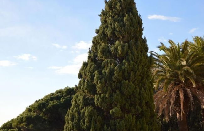 A Stone's Throw From the sea - Foto 24