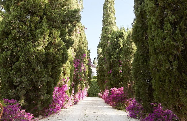 Finca Belon - Foto 10