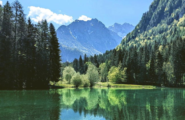 Pool Villa Katja Kranjska Gora - Foto 27