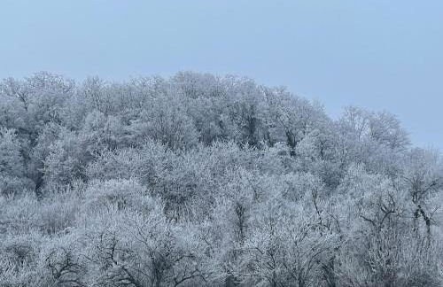 Le Relais du Piémont Ottrott - Mont Sainte-Odile- Champs du feu - Photo 40