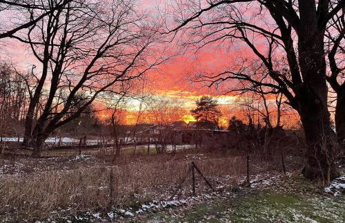 Tiny House am Ranziger See - Foto 41