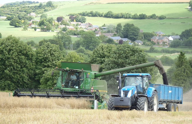 Manor Farm B & B - Foto 48