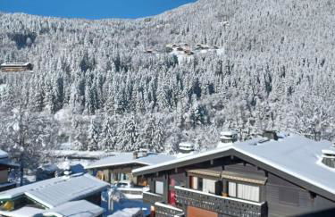 Refuge des Alpages - Duplex - Vue Aiguillette des Houches - Foto 14