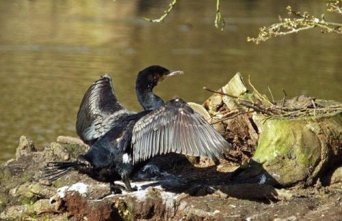 Doonbank Cottage Bothy - Foto 26