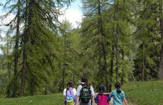 Pejo Appartamenti Pegolotti - Foto 38