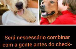 Casa com piscina , churrasqueira, Wi-Fi, em rua de Areia à 1km da praia, bairro sussegado, proíbido uso de som extremamente alto ideal para descansar - Foto 59