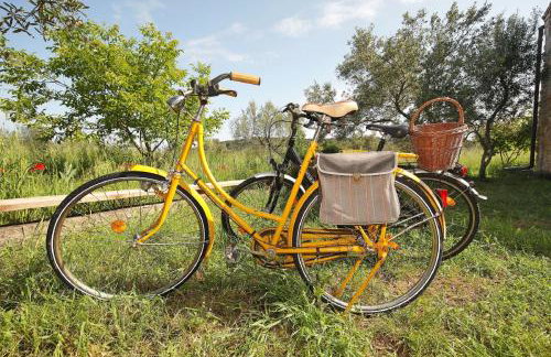 House Flamingo - Foto 24