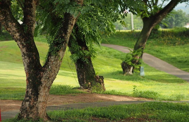 Uncle Jo Valley - Photo 14