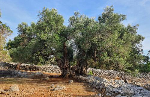 Aquarius Luxury apartment with pool and sea view - Photo 36
