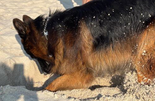 Apartamenty nad morzem Przy Klifie 2 Dębina - Foto 65