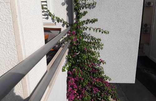 Milic Apartments - Foto 2