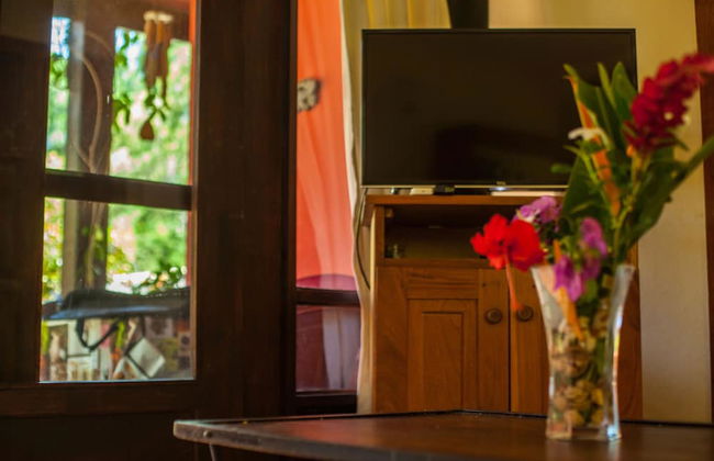 Apartamentos Massai - Foto 30