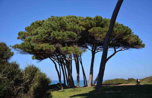 Appartamento per vacanze o weekend in Toscana - Foto 18