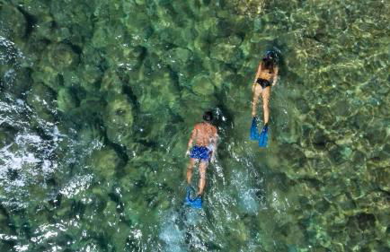 Azienda Agricola Club Le Cannelle - Foto 10