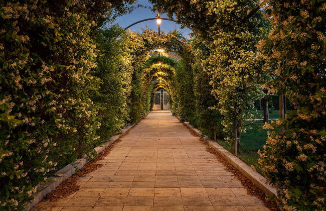 Tenuta Giardini Nuovi - Photo 30