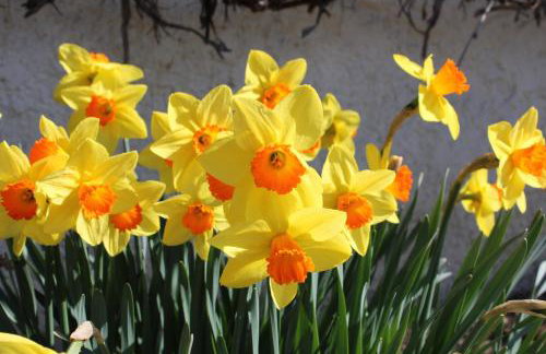 Ferienhof Schöngarten, Sonja & Stefan Büchele GbR - Foto 65
