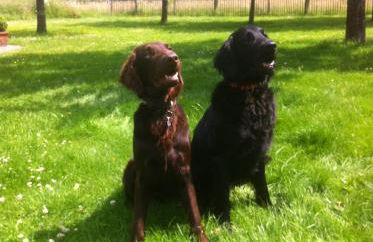 B&B Annabelle - Foto 26