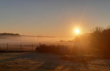 Zacisze pod brzozami - Foto 30