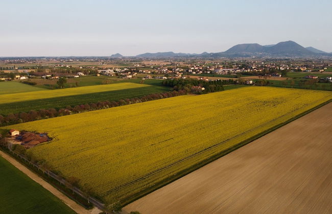 The Mulberries Three Bedroom and two Bathroom Apartment - Foto 25