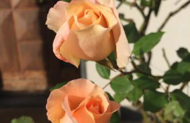 Le Bricolle - Photo 3