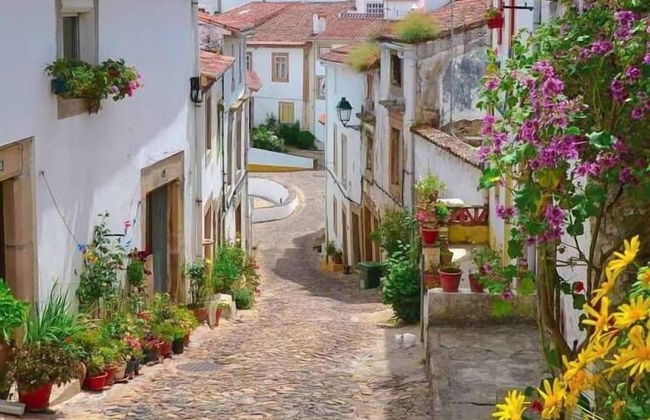 Dom Dinis Marvão - Photo 60