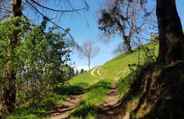 Inntalblick - Foto 24