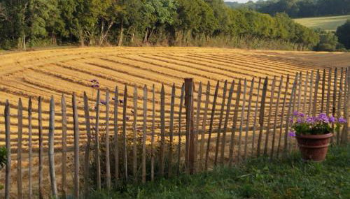 Gîte de Peyrinet - Foto 2